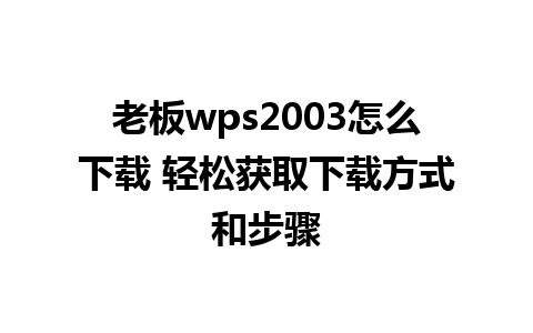 老板wps2003怎么下载 轻松获取下载方式和步骤