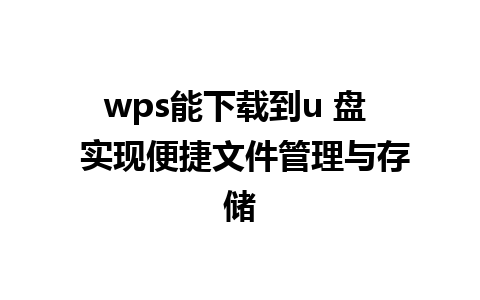 wps能下载到u 盘  实现便捷文件管理与存储