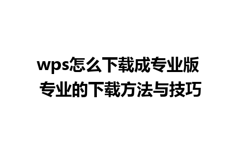 wps怎么下载成专业版 专业的下载方法与技巧