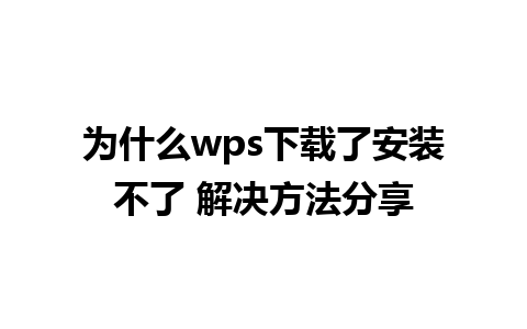 为什么wps下载了安装不了 解决方法分享