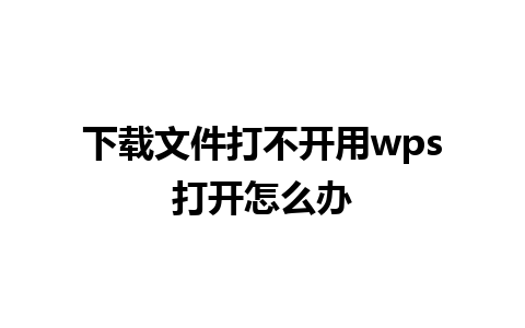 下载文件打不开用wps打开怎么办