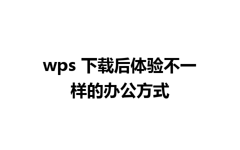 wps 下载后体验不一样的办公方式