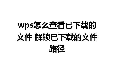 wps怎么查看已下载的文件 解锁已下载的文件路径