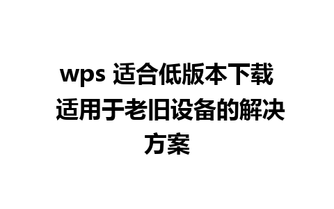 wps 适合低版本下载 适用于老旧设备的解决方案