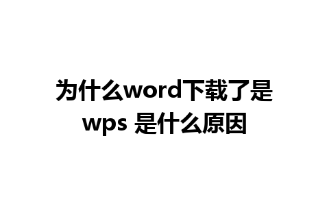 为什么word下载了是wps 是什么原因