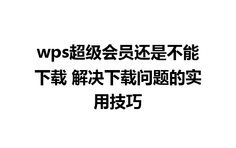 wps超级会员还是不能下载 解决下载问题的实用技巧