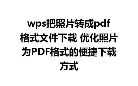 wps把照片转成pdf格式文件下载 优化照片为PDF格式的便捷下载方式