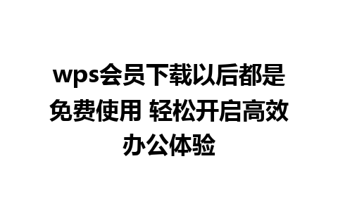 wps会员下载以后都是免费使用 轻松开启高效办公体验