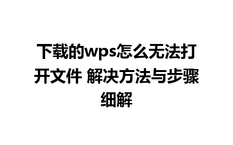 下载的wps怎么无法打开文件 解决方法与步骤细解