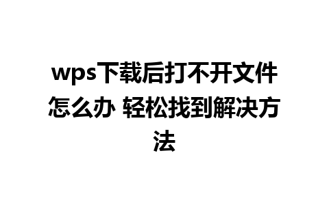 wps下载后打不开文件怎么办 轻松找到解决方法