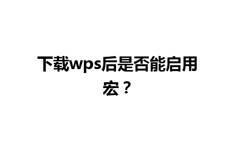 下载wps后是否能启用宏？