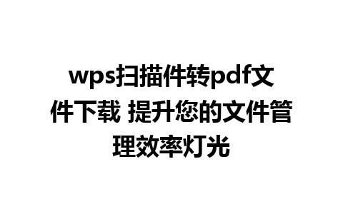 wps扫描件转pdf文件下载 提升您的文件管理效率灯光