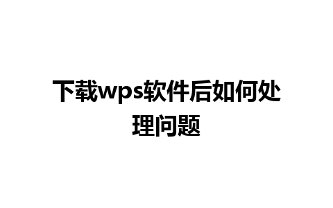 下载wps软件后如何处理问题