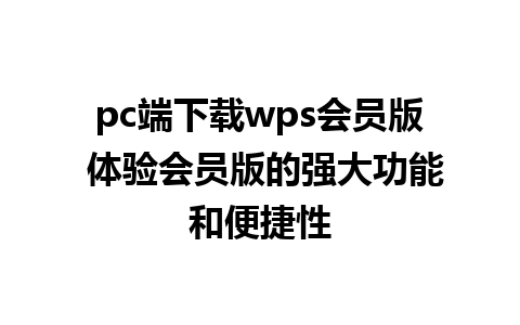 pc端下载wps会员版 体验会员版的强大功能和便捷性