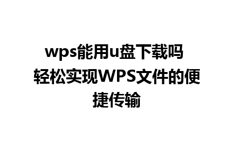 wps能用u盘下载吗 轻松实现WPS文件的便捷传输