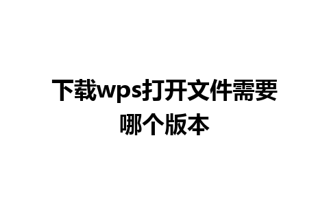 下载wps打开文件需要哪个版本