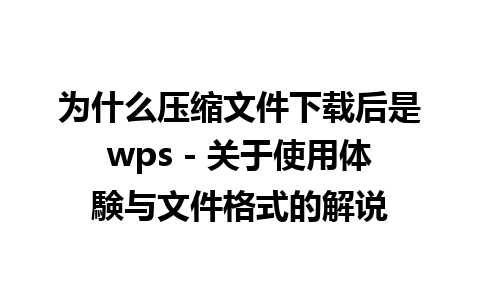 为什么压缩文件下载后是wps - 关于使用体験与文件格式的解说