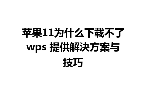 苹果11为什么下载不了wps 提供解決方案与技巧