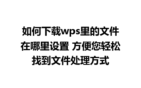 如何下载wps里的文件在哪里设置 方便您轻松找到文件处理方式