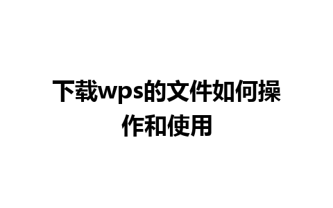 下载wps的文件如何操作和使用