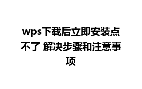 wps下载后立即安装点不了 解决步骤和注意事项