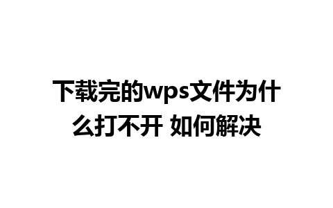 下载完的wps文件为什么打不开 如何解决