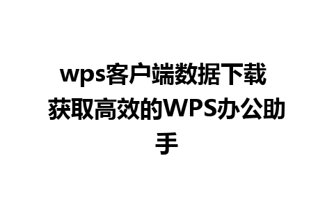 wps客户端数据下载 获取高效的WPS办公助手