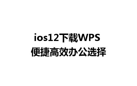 ios12下载WPS 便捷高效办公选择