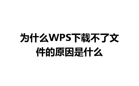 为什么WPS下载不了文件的原因是什么