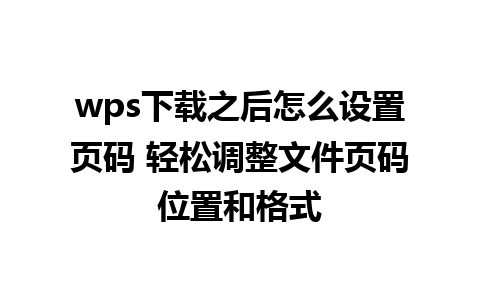 wps下载之后怎么设置页码 轻松调整文件页码位置和格式