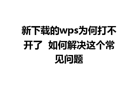 新下载的wps为何打不开了  如何解决这个常见问题