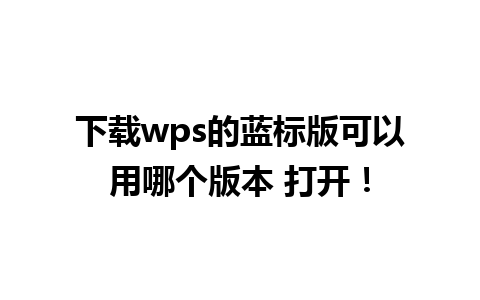 下载wps的蓝标版可以用哪个版本 打开！