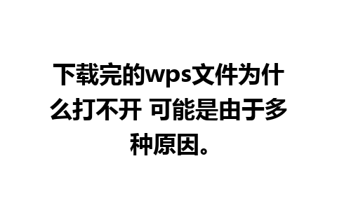 下载完的wps文件为什么打不开 可能是由于多种原因。