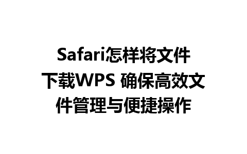 Safari怎样将文件下载WPS 确保高效文件管理与便捷操作