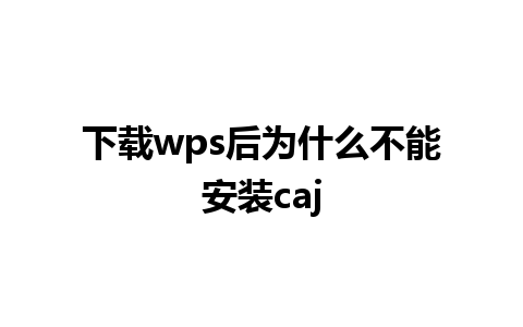 下载wps后为什么不能安装caj