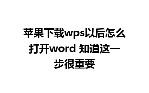 苹果下载wps以后怎么打开word 知道这一步很重要