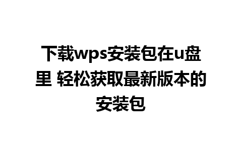 下载wps安装包在u盘里 轻松获取最新版本的安装包