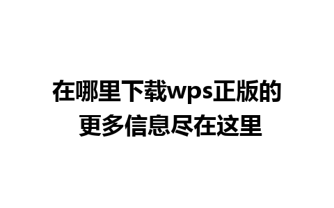 在哪里下载wps正版的 更多信息尽在这里