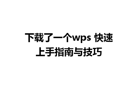 下载了一个wps 快速上手指南与技巧