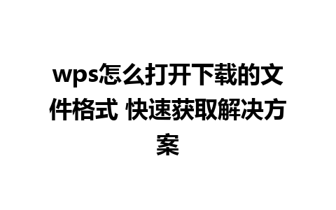 wps怎么打开下载的文件格式 快速获取解决方案