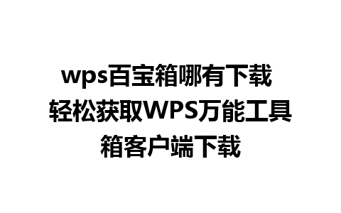 wps百宝箱哪有下载 轻松获取WPS万能工具箱客户端下载