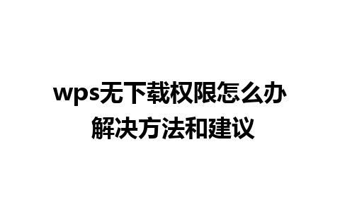 wps无下载权限怎么办 解决方法和建议