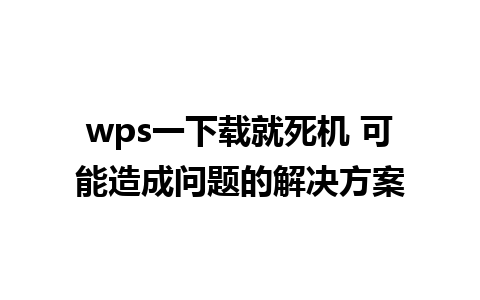 wps一下载就死机 可能造成问题的解决方案