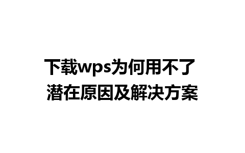 下载wps为何用不了 潜在原因及解决方案