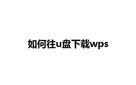 如何往u盘下载wps