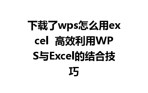 下载了wps怎么用excel  高效利用WPS与Excel的结合技巧