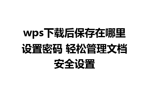 wps下载后保存在哪里设置密码 轻松管理文档安全设置