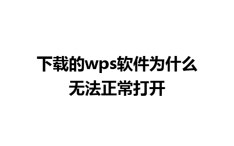 下载的wps软件为什么无法正常打开  
