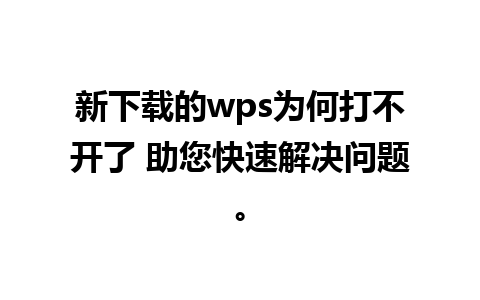 新下载的wps为何打不开了 助您快速解决问题。