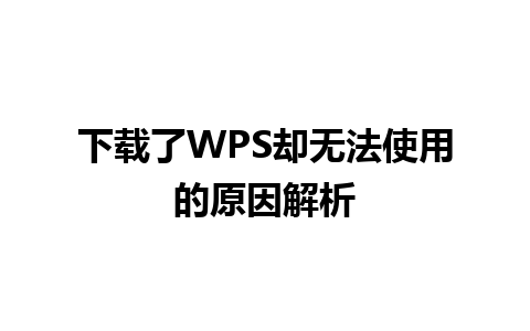 下载了WPS却无法使用的原因解析